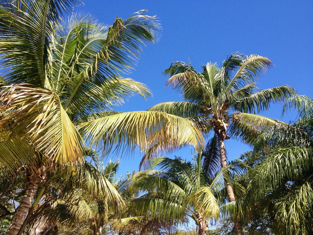 The Pelican Key Largo Cottages Екстериор снимка